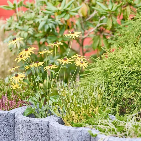 Haus Muehlentrift Doese דירה *