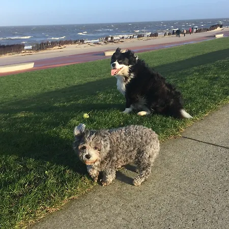 Haus Muehlentrift Doese Апартаменты