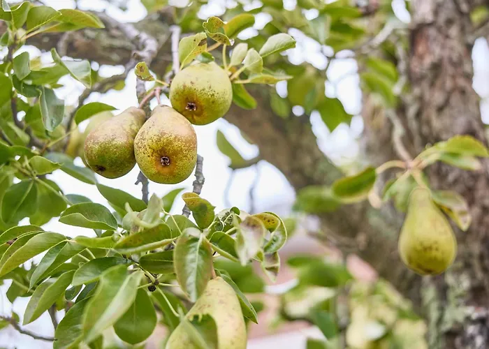 Haus Muehlentrift Doese דירה